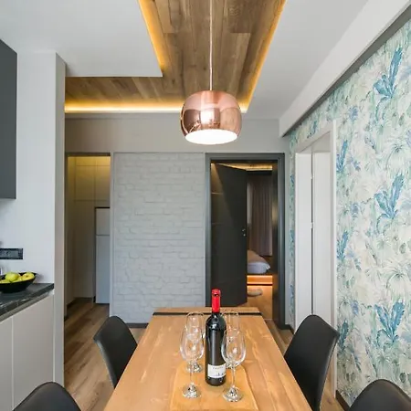Elisabetin Residence: And Unique Design * טימישוארה