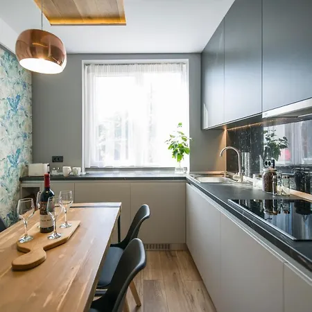 Elisabetin Residence: And Unique Design Apartment Timisoara