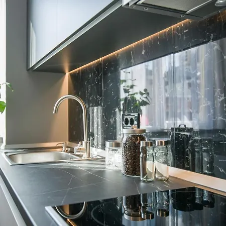 Elisabetin Residence: And Unique Design * Timisoara