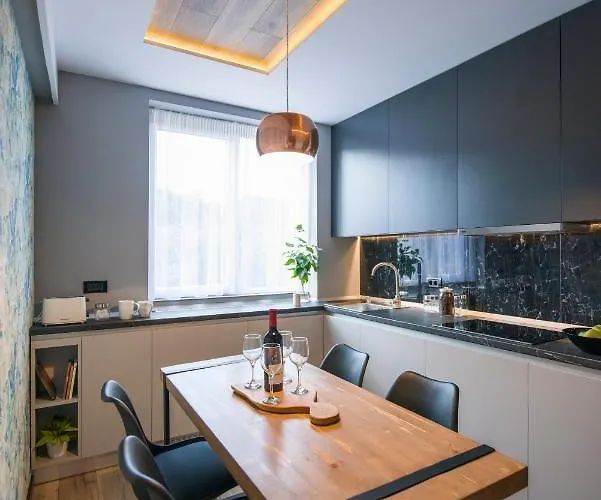 Elisabetin Residence: And Unique Design 公寓 蒂米什瓦拉