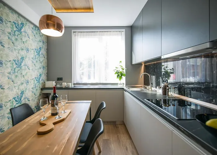 Elisabetin Residence: And Unique Design Apartmán Temešvár